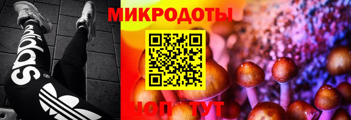 Псилоцибиновые грибы GOLDEN TEACHER Избербаш